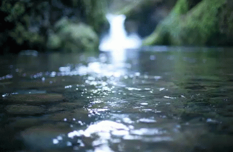 River GIF - River - Discover & Share GIFs River GIF - River - Discover & Share GIFs