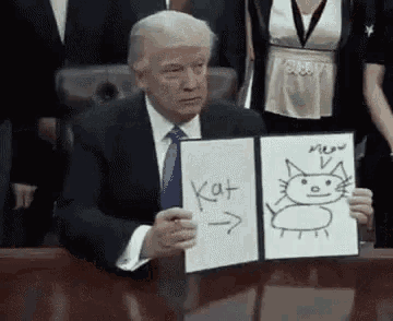 Deranged Donald Grifter In Chief GIF - DerangedDonald GrifterInChief Cat GIFs