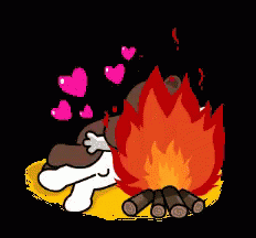 cony kiss bonfire