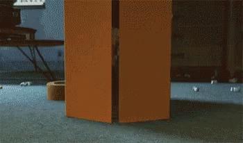 woody in a box
