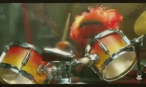 Drummer The Muppets GIF - Drummer TheMuppets Animal - Discover & Share GIFs