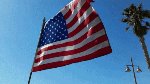 American Flag GIF - American Flag - Discover & Share GIFs