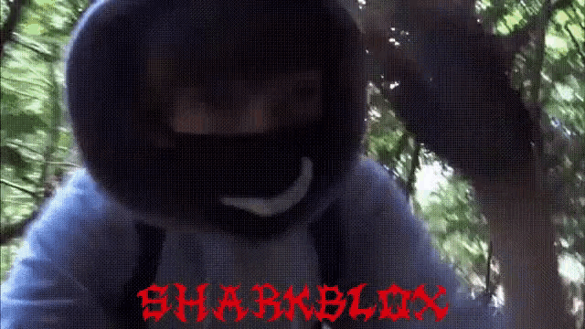 Shark Blox