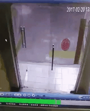 - Cat Sliding Glass Door Gif - Cat Sliding Glass Door Gif