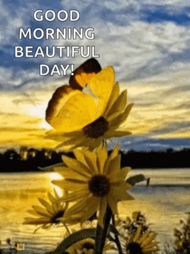 Good Morning Beautiful GIF - GoodMorning Beautiful Day - Discover ...