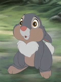 Image result for thumper gif