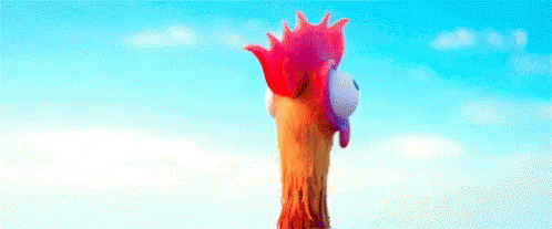 Heihei Moana Gif Heihei Moana Chicken Discover Share Gifs Heihei Moana Gif Heihei Moana Chicken Discover Share Gifs