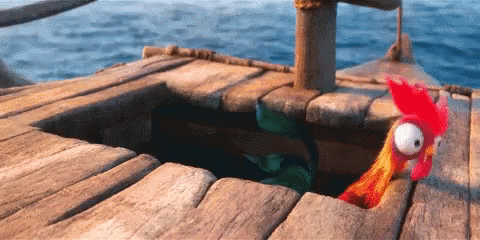 Moana Ckicken Gifs Tenor Moana Ckicken Gifs Tenor