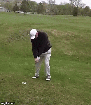 funny golf gifs tenor