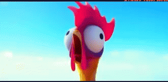 Moana Chicken Gif Moana Chicken Screaming Discover Share Gifs Moana Chicken Gif Moana Chicken Screaming Discover Share Gifs