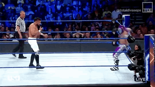 Rey Mysterio Canadian Destroyer GIF - ReyMysterio ...
