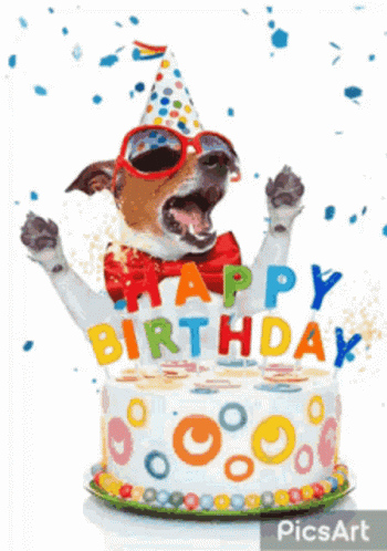 Dog Birthday Gifs Tenor Dog Birthday Gifs Tenor