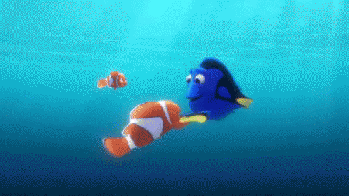 Shocked GIF - FindingDory Dory Marlin - Discover & Share GIFs