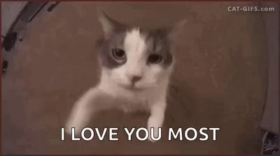 I Wuv You More Gifs Tenor I Wuv You More Gifs Tenor