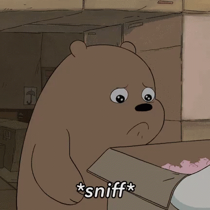 sad bear gifs tenor