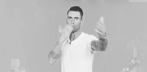 Image result for adam LEVINE gif