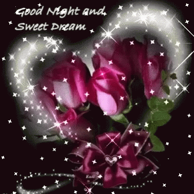 Goodnight And Sweet Dreams Gdnite GIF - GoodnightAndSweetDreams ...