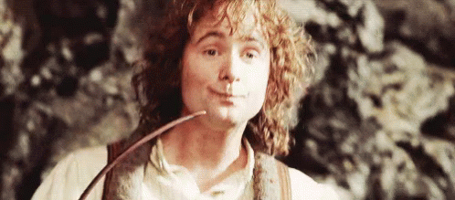 LOTR Lord Of The Rings GIF - LOTR LordOfTheRings BillyBoyd - Discover