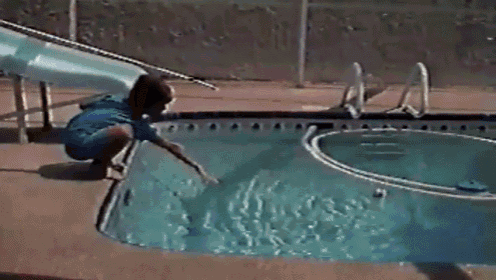 Cats Are Jerks GIF - Cat Jump Attack GIFs