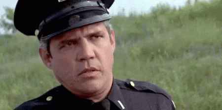 police academy 1 zed costume police academy 1 zed costume