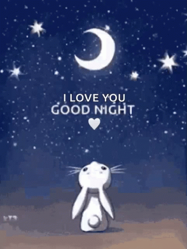 Good Night Bunny GIF - GoodNight Bunny Watching - Discover & Share GIFs