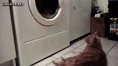 LavarRoupa Lavanderia Faxina GIF - DoLaundry Laundry Cleaning - Discover & Share GIFs