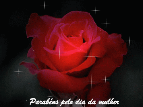 tenor.gif?itemid=9295882