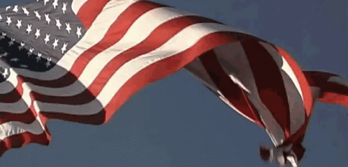 Animated Waving American Flag GIFs | Tenor