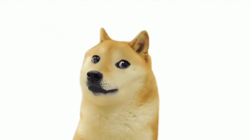 images Bonk Hammer Doge doge bonk gif doge bonk hammer discover share gifs