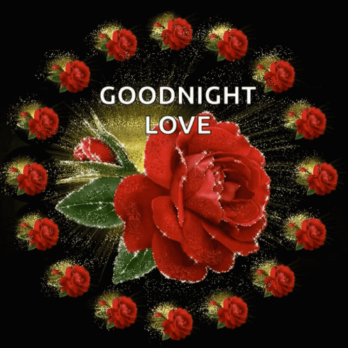 Good Night Flowers GIF - GoodNight Flowers Sparkles - Discover & Share GIFs