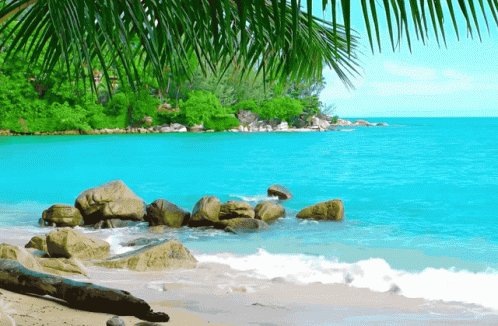 Beach Relaxing GIF - Beach Relaxing Waves - Discover & Share GIFs