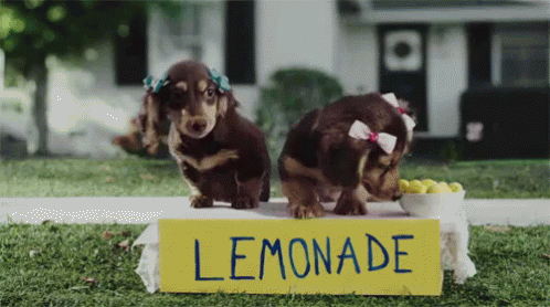 Image result for lemonade stand gif