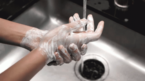 ЭМЯ: Гараа хэрхэн зөв угаах вэ?