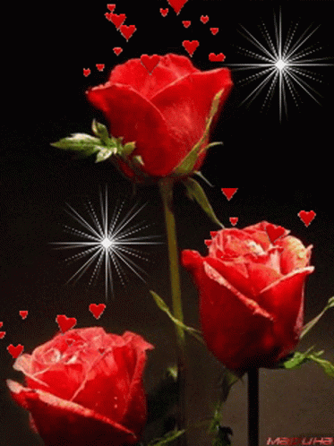 Rose Flower GIF - Rose Flower Heart - Discover & Share GIFs