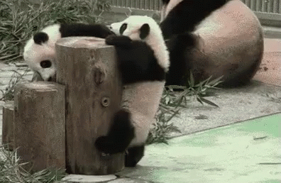 Image result for struggle gif