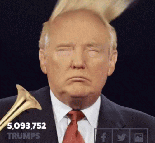 Trump Hair GIF - Trump Hair Badhair - Discover & Share GIFs - 498 x 458 animatedgif 2261kB