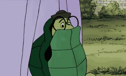 turtle reaction