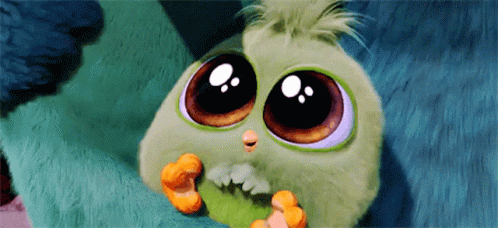 Cute Angry Birds GIF - Cute AngryBirds Sweet - Discover &amp; Share GIFs