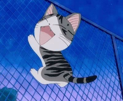 Little Chi GIF Little Chi Cat Discover Share GIFs