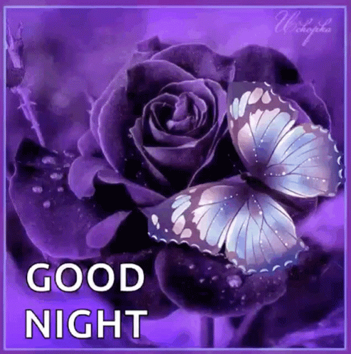 Goodnight Good Nite GIF - Goodnight GoodNite Butterfly - Discover ...