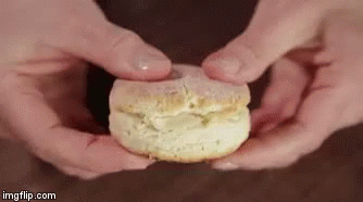 Soggy Biscuit GIFs | Tenor