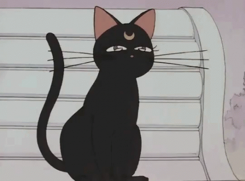 Luna Cat GIFs | Tenor