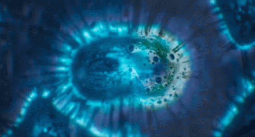 Bacterial Cell Division Gif