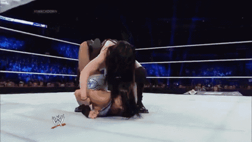 wwe women fight