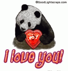 i love you panda teddy