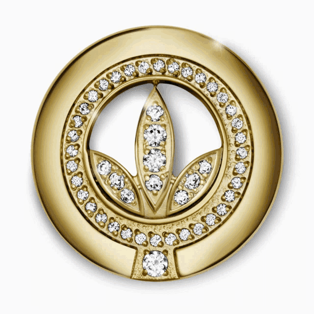 Herbalife Nutrition Recognition Pin Gif Herbalifenutrition Herbalife Recognitionpin Discover Share Gifs Herbalife Nutrition Recognition Pin Gif Herbalifenutrition Herbalife Recognitionpin Discover Share Gifs