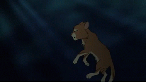 warrior cats gif warriorcats discover share gifs