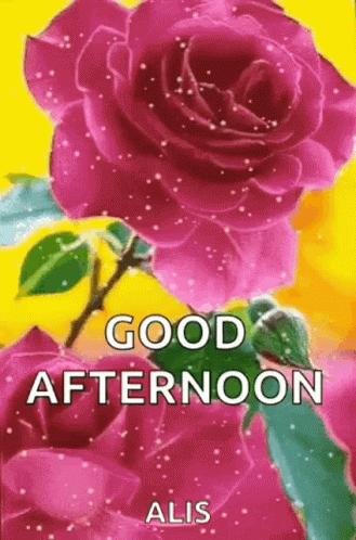 Good Afternoon Rose GIF - GoodAfternoon Rose Flower - Discover & Share GIFs