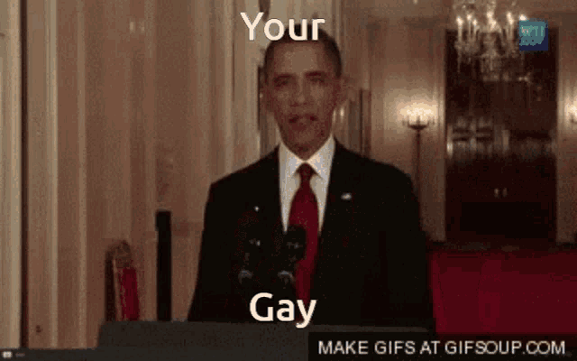 why are you gay meme gif