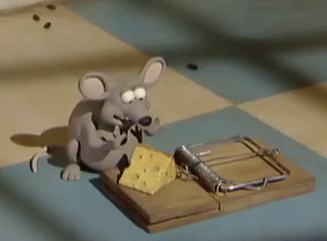 Cheese Mouse Trap GIF Cheese MouseTrap Food Discover 